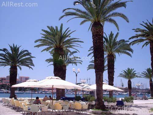 Villa Sunrise Hotel 19
